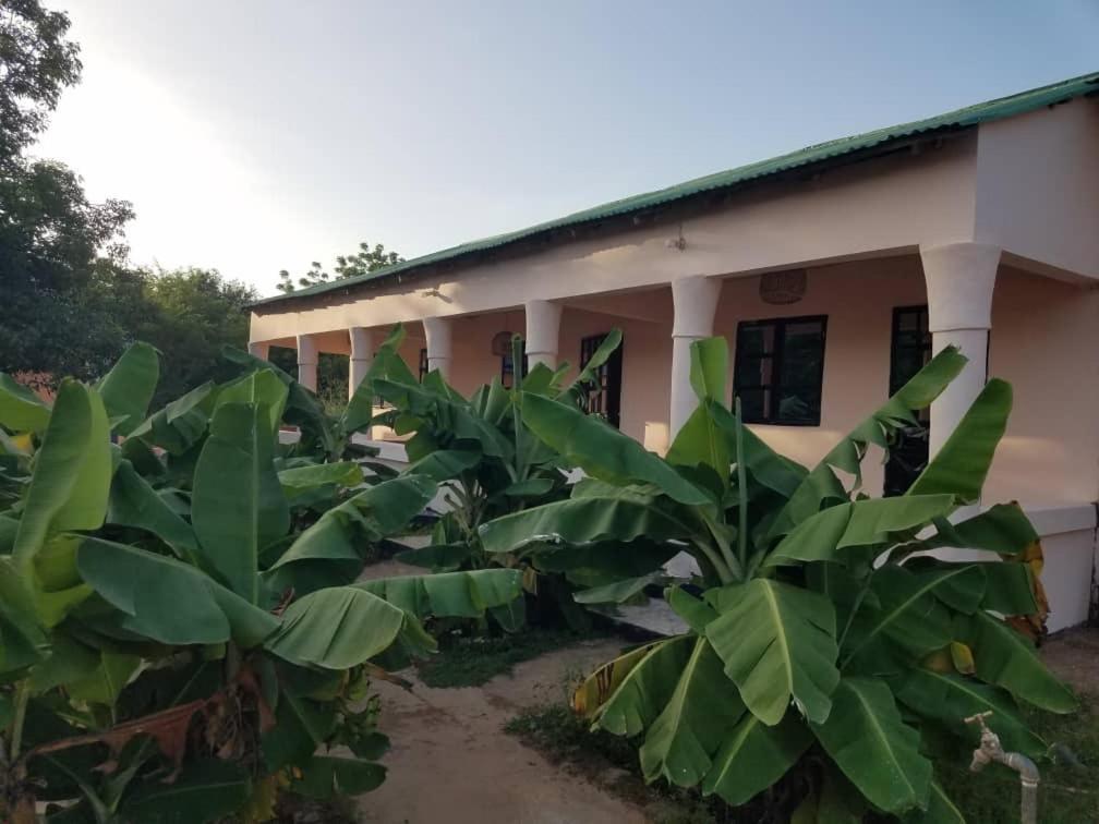 Camping Sitaba Lodge Georgetown Exterior foto