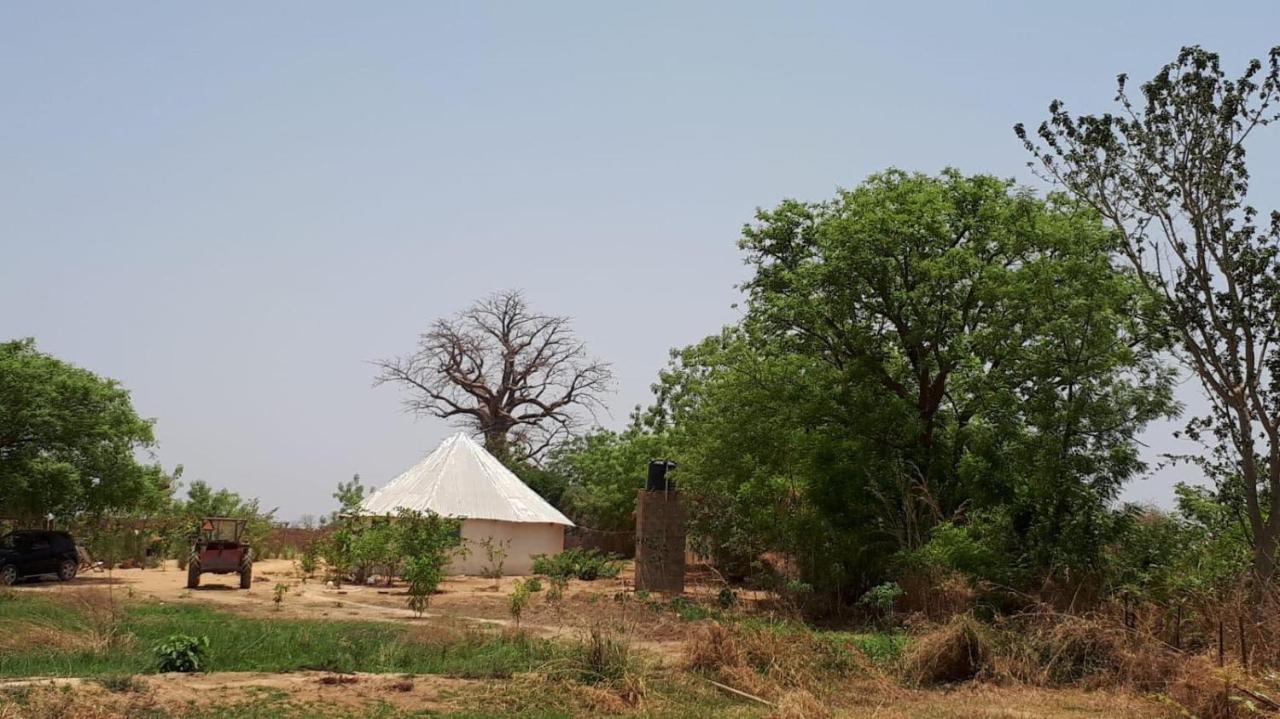Camping Sitaba Lodge Georgetown Exterior foto