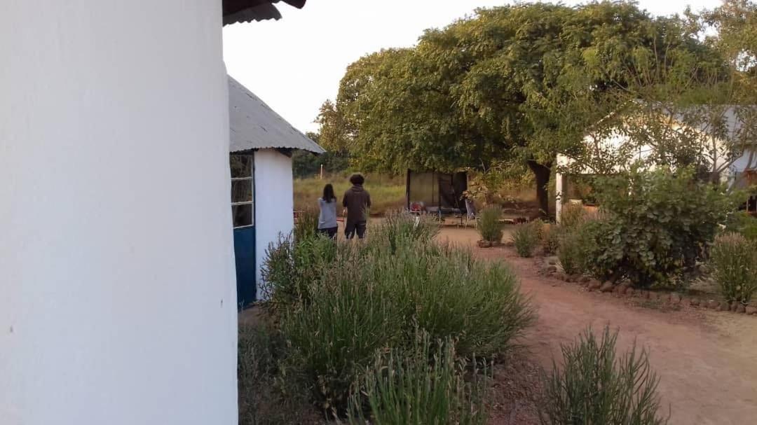 Camping Sitaba Lodge Georgetown Exterior foto